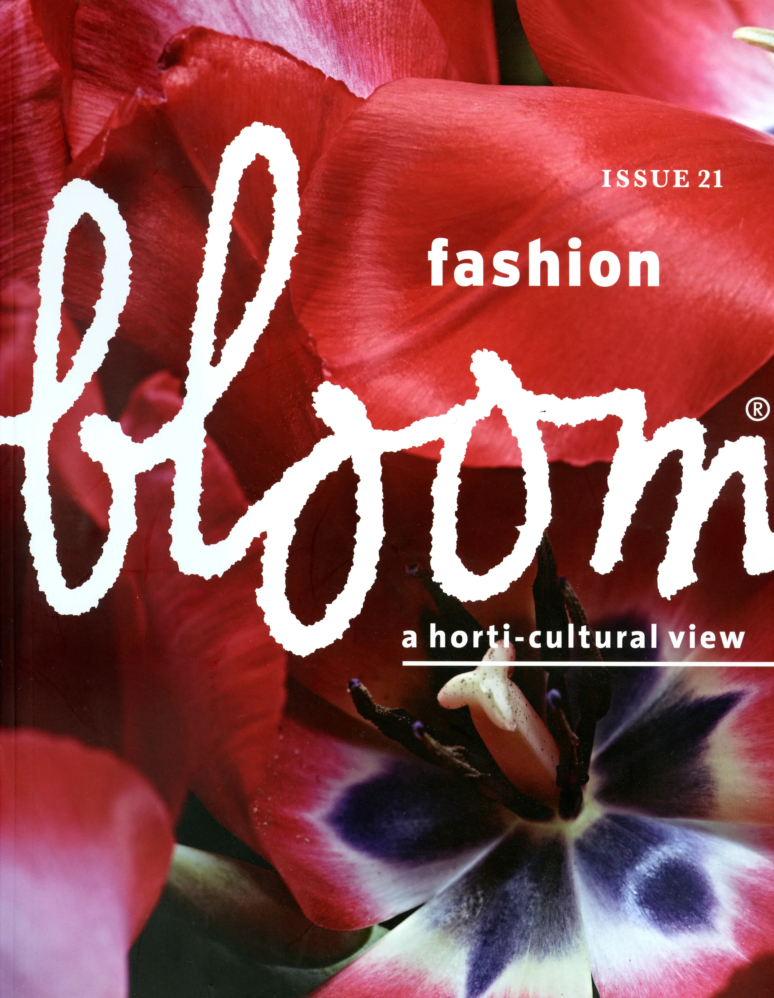 EDITORIAL: bloom, issue 21 — rinne allen